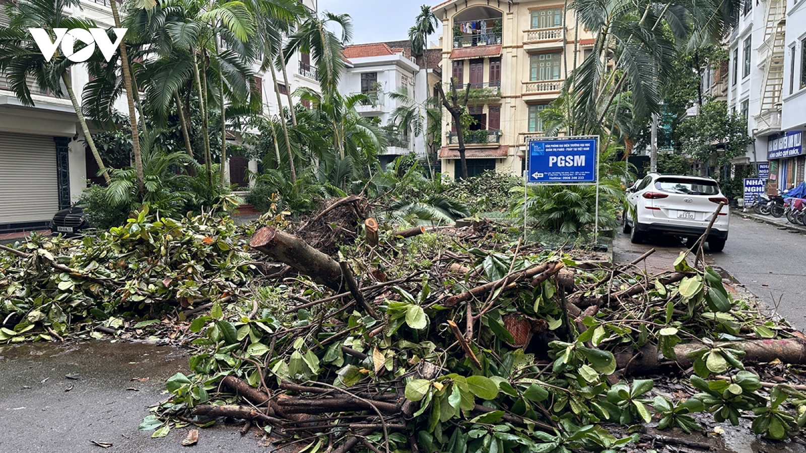 Hai tuần sau bão số 3, nhiều tuyến phố, khu đô thị ở Hà Nội vẫn ngổn ngang cây bật gốc